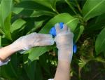 1.9g Latex Free TPE Disposable Gloves For Cleaning