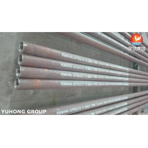 ASTM A213 T9 Chromium-Molybdenum Alloy Seamless Heat Exchanger Tubes