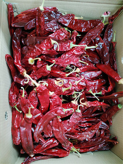 Sun Dried Chilli Pepper Sweet Paprika Pepper With 1% Impurity 7-19cm