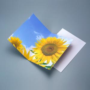 China High Quality Factory Wholesale Custom Printing 3D Motion Effect Lenticular Card factory