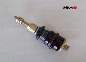 China Transformer Dt 1/250- Din 42530 Low Voltage Bushing factory