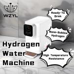 3000 Ppb Hydrogen Water Device Hydrogen Water Dispenser For Home Use