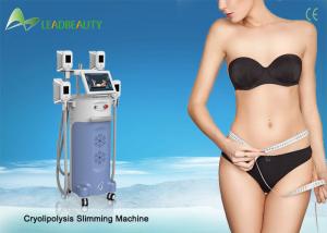 China (Hot in USA ) Medical CE 4 handles cool cryolipolysis slimming machine factory