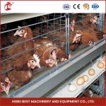 3/4/5/6 Tiers Automatic Chicken Battery Cage Equipment H Type For Layers Farm