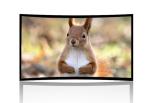 High Contrast Curved Rear Projection Screen , Fixed Projection Screen OEM ODM