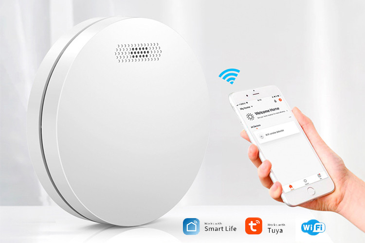 Alkaline Zinc Battery Tuya App Smart Smoke Detector For Home And Factory Security