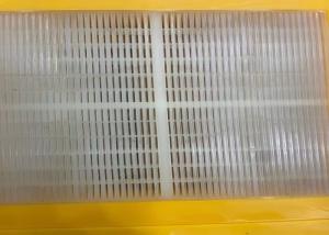 China High Wear Resistance Pu Screen Panel 305*305*30 Mm Normal Sizes SH60A-95A factory