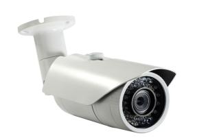 China 1080P Low lux Waterproof Day &amp; Night Outdoor Security IP Camera DR-IP1011 factory