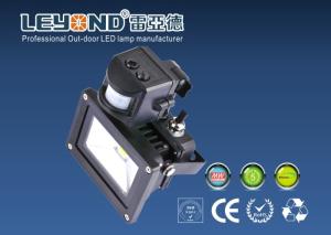 China Led Flood Lights 30w 50w Motion Sensor Bridgelux chips inside factory
