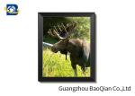 Wall Art Stretched Picture Of Wild Animal Black Bear / Deer For Bedroom
