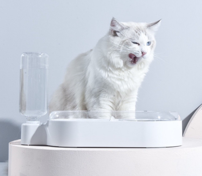 Ceramic Pet Feeder Bowls Set 15 Degree Tilted Platform For Water Food