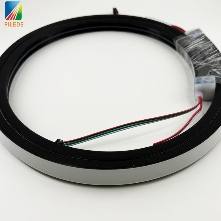 Unique Black Silicone LED Neon Strip 20*20mm SPI-RGB Dotless Waterproof IP67 LED Neon Flex Rope Light for Club Landscape