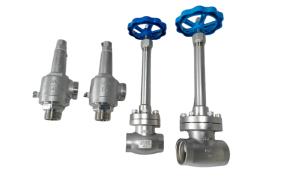China SS304 Cryogenic Hard Seal Safety Valve For LIN LOX LAR LNG Tank -196~80 ℃ High Quality factory