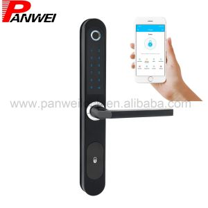 China Combination Lock With Fingerprint &amp; Passcode APP Opening Easy Install factory