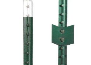 China 8&quot; Height Green Tee Studded Fence Post T Type factory