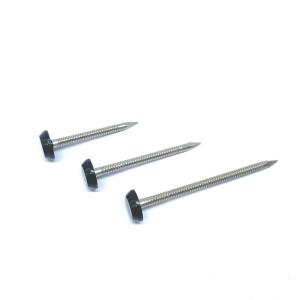 China UV Stable Impact Resistant Polymer Plastic Headed Nails Made From A4 Stainless Steel factory