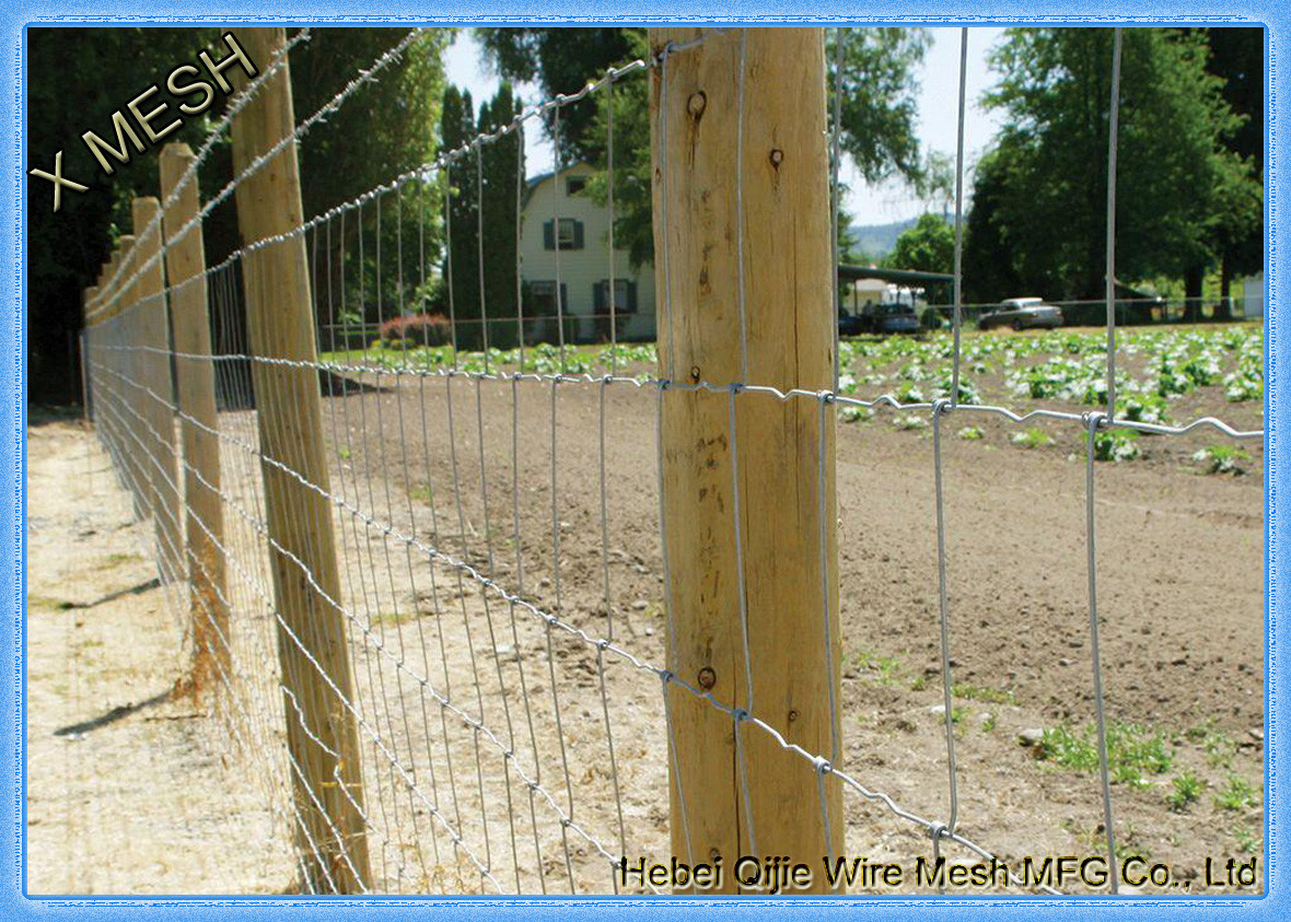 High Tensile Welded Wire Fence Panels Galvanized 1.5m Hinge Joint For Sheep / Goat