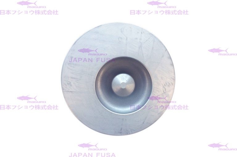 Engine Parts Piston KIA 109