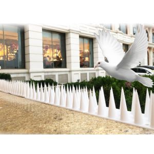 Easy Installation Pest Control Bird Spikes In Plastic