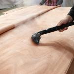 Birch Faced Decoration Natural Wood Veneer Panel Multilayer First Class