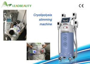 China CE approval fat freezing cryo lipolysis cryolipolysis cold body slimming machine factory