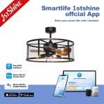 Downrod Mount Remote Control Cage Ceiling Fan 20in With Light