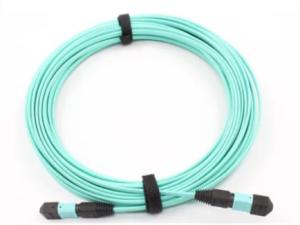China 12F 24F OM3 OM4 MPO Fiber Optic Patch Cord factory