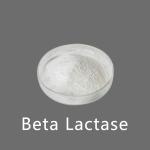 White Powder Like Beta Lactase Enzyme In Milk 10000ALU-100000ALU