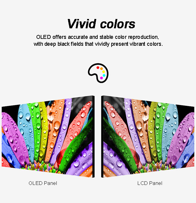Full HD 55 Transparent OLED Touch Screen See Through OLED Display