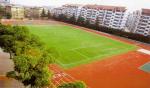 Thiolon PE Green Artificial Sports Pitch for Artificial Turf Football / Soccer ,