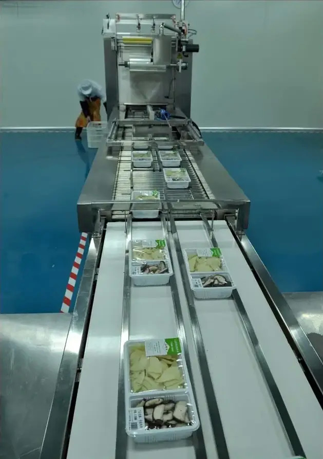 3.2kw Map Packaging Machine Modified Atmosphere Packaging Equipment