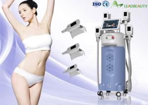 China Factory price 4 handles Cryolipolysis Fat Freeze Slimming Machine With 1600W Output Power factory