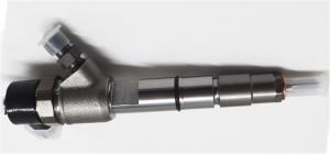 China 0445110293 0445110407 Common Rail Fuel Injector Diesel Injector factory