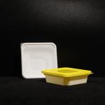 Leak-Proof Pringting Disposable PP Lunch Box for Your Travel and On-the-Go Meals