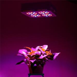 China china supplier led grow lights Appolo 4 200w for plants grow factory