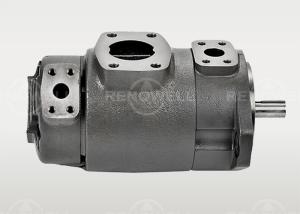 China Replacement High Pressure Vane Pump SQP21 SQP31 SQP41 For Plastic Injection Machinery factory