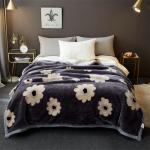 Seasonal All-Season Raschel Blanket Luxury Bed Printed Home Bedroom Fluffy Throw