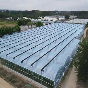 China Automated intelligent Venlo-type greenhouse with a multi-layer PC board structure and a seedbed system factory