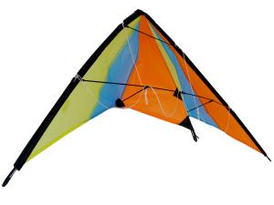 China 120*60cm Polyester Sports Delta Stunt Kite For Spring Season factory