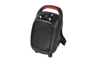 China 6.5 Inch Portable Trolley Speaker 2'' Tweeter Size High End Audio Equipment factory