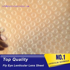 China PLASTIC LENTICULAR double sided dots 360 3d effect fly eye lenticular film plastic sheets factory