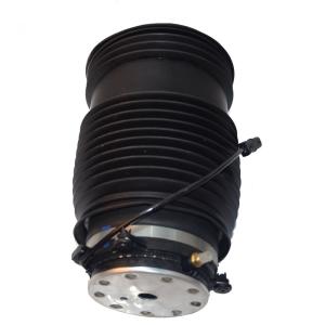 China Customized Diameter W213 Rear Air Suspension Balloons L R 2133280100 factory