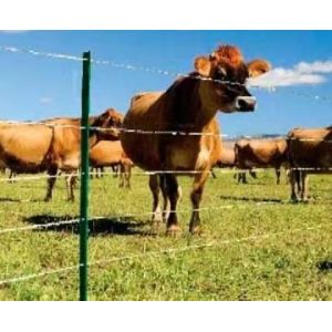 Dog Playpen Chain Link Fence Chew-Proof Edging