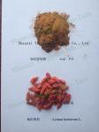 Wolfberry(Goji Berry) Extract, polysaccharide 40%, regulates immune system