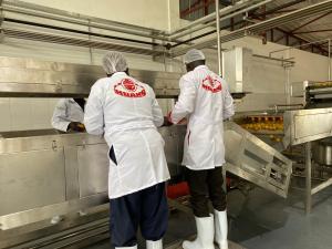 China Customized 10T/H SS Mango Pulp Production Line factory