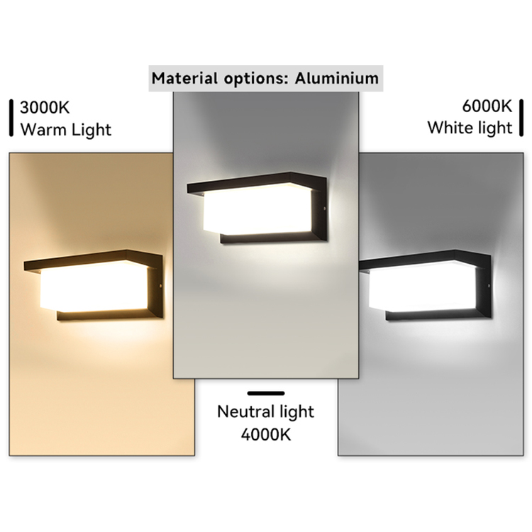 8W LED Indoor Wall Light with Modern Design and 3000K/4000K/6500K Color Temperature