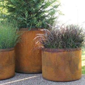 China Customized Style Large Indoor Potted Plants Perfect for Indoor Plants factory