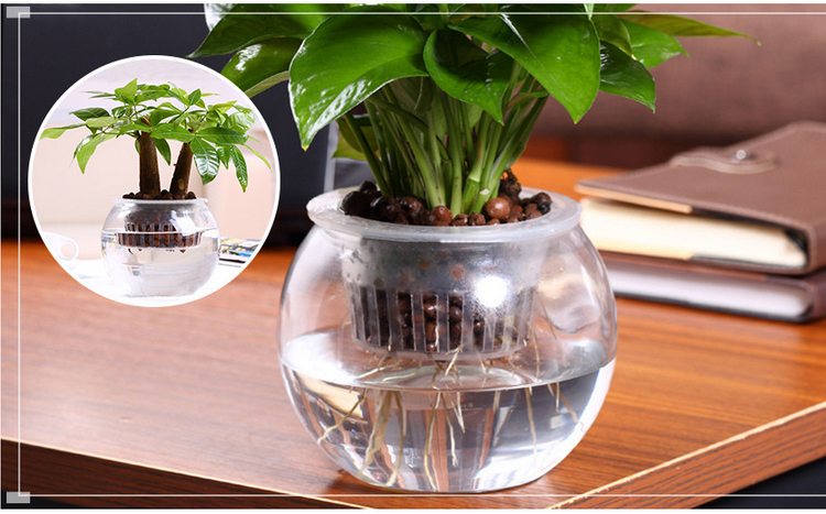 Food Grade Plastic PP 2inch Black Mesh Net Clay Pot Hydroponic Plant Cups with Sponge