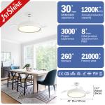 Contemporary Design 5 Speed LED Ceiling Fan with Hidden Blades 42 Inch Space
