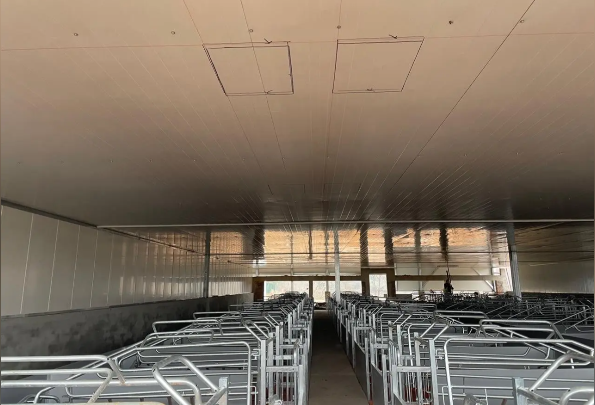 Customized scheme galvanized portal steel frame agricultural building breeding farm